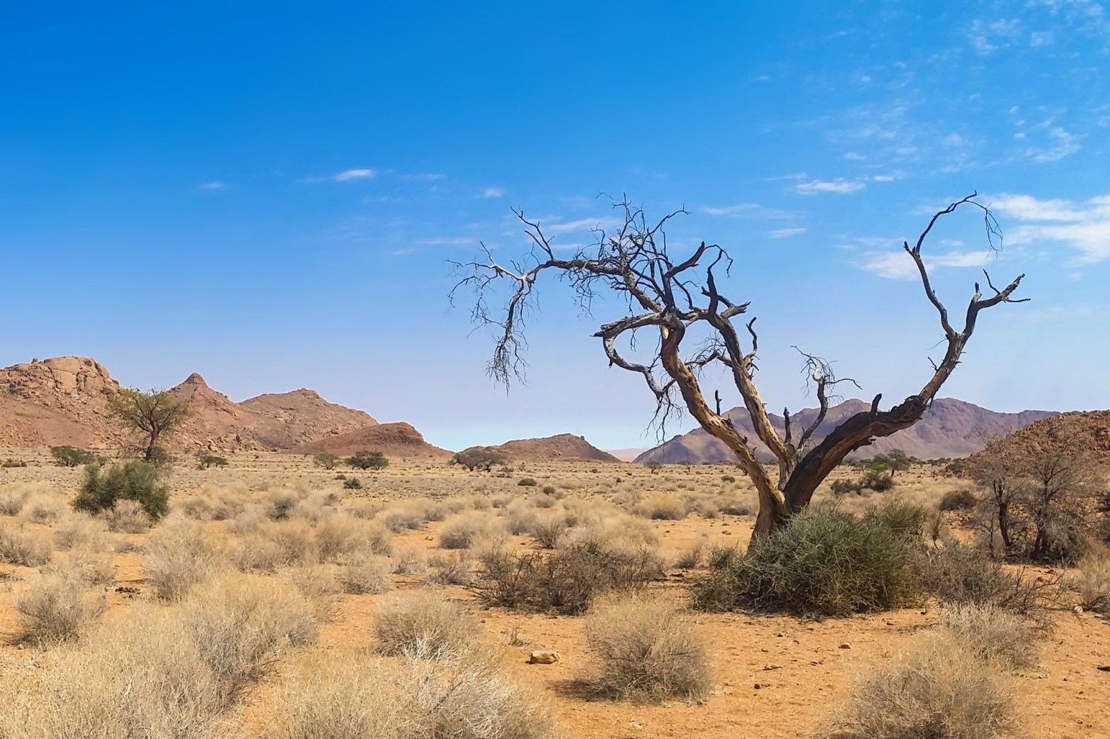 from the wilderness to the mountain of god